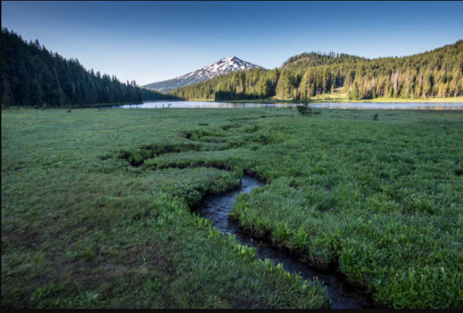 The Benefits of Owning Land in the State of Oregon